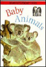 Baby Animals - Louisa Somerville