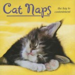 Cat Naps: The Key to Contentment - Robin Haywood