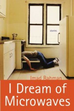 I Dream of Microwaves - Imad Rahman
