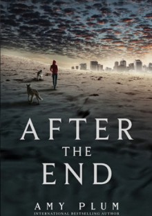 After The End - Amy Plum