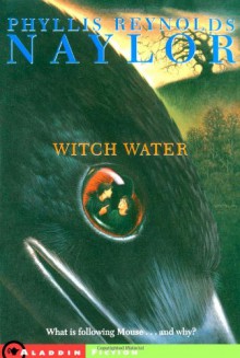 Witch Water - Phyllis Reynolds Naylor, Ken McMillan, Gail Owens