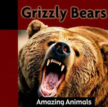 Grizzly Bears - Jacqueline Dineen