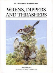 Wrens, Dippers And Thrashers (Helm Identification Guides) - David Brewer