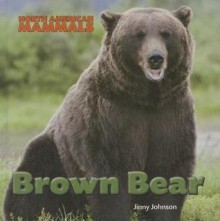 Brown Bear - Jinny Johnson