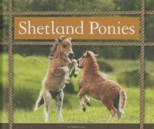 Shetland Ponies - Pamela Dell