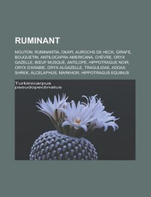 Ruminant: Mouton, Ruminantia, Okapi, Aurochs de Heck, Girafe, Bouquetin, Antilocapra Americana, Chevre, Oryx Gazelle, B Uf Musque, Antilope, Hippotrague Noir, Oryx D'Arabie, Oryx Algazelle, Tragulidae, Addax, Shrek, Alcelaphus, Markhor - Livres Groupe