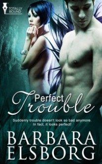 Perfect Trouble - Barbara Elsborg