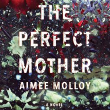 The Perfect Mother - Aimee Molloy,Cristin Milioti