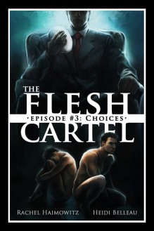 The Flesh Cartel #3: Choices (The Flesh Cartel Season 2: Fragmentation) - Heidi Belleau,Rachel Haimowitz
