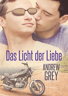 Das Licht der Liebe (Herzenssachen 1) - Florentina Hellmas, Andrew Grey