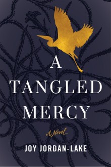A Tangled Mercy: A Novel - Joy Jordan-Lake