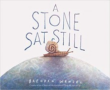 A Stone Sat Still: (Environmental and Nature Picture Book for Kids, Perspective Book for Preschool and Kindergarten, Award Winning Illustrator) - Brendan Wenzel