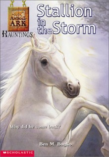 Stallion in the Storm - Ben M. Baglio