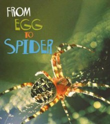 From Egg to Spider - Anita Ganeri