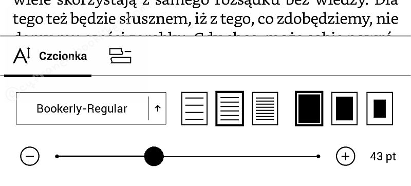 PocketBook InkPad 2 - dolne menu w e-booku